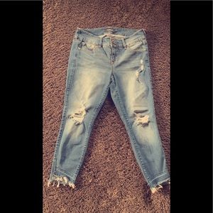 Torrid distressed high rise jeggings 14